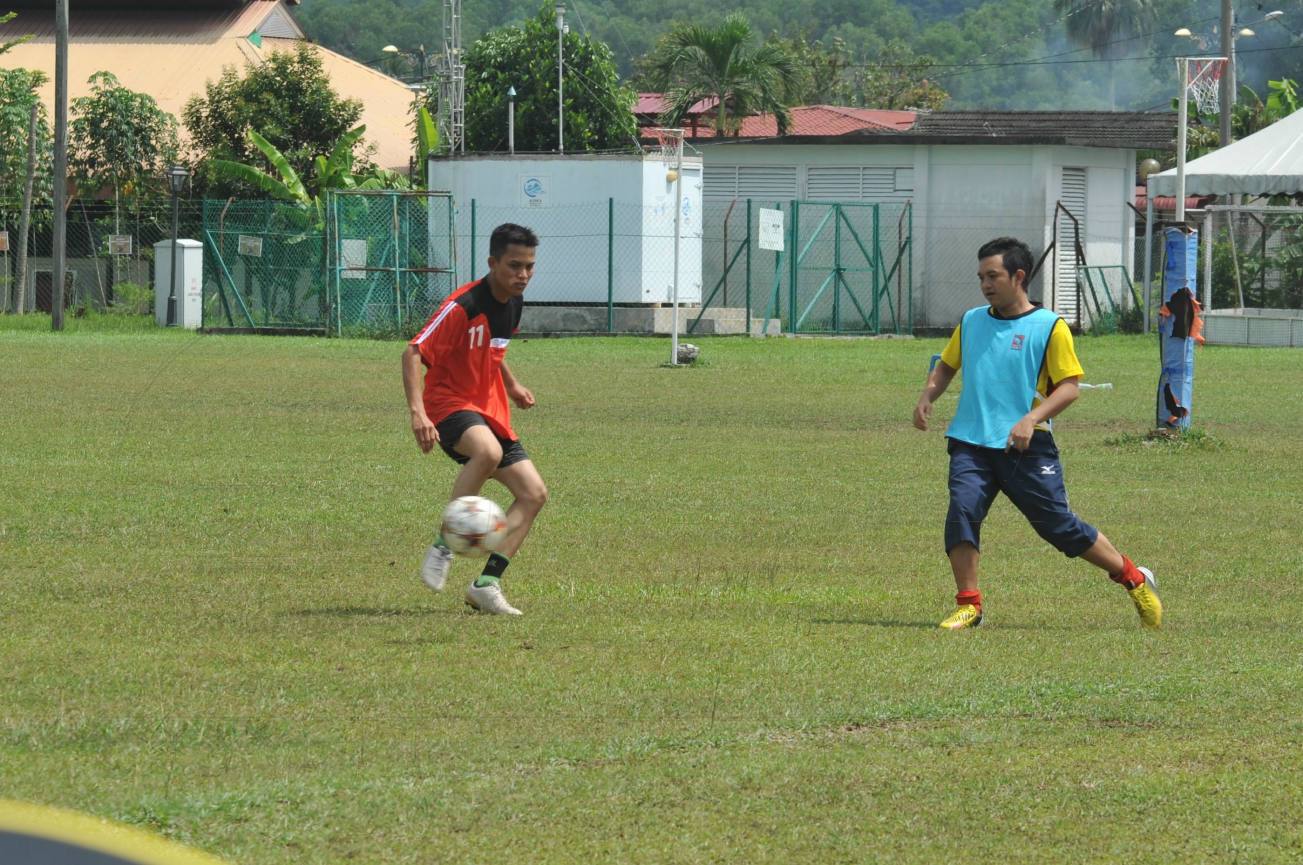 PRO 15 53 KIESTA HAS 6242